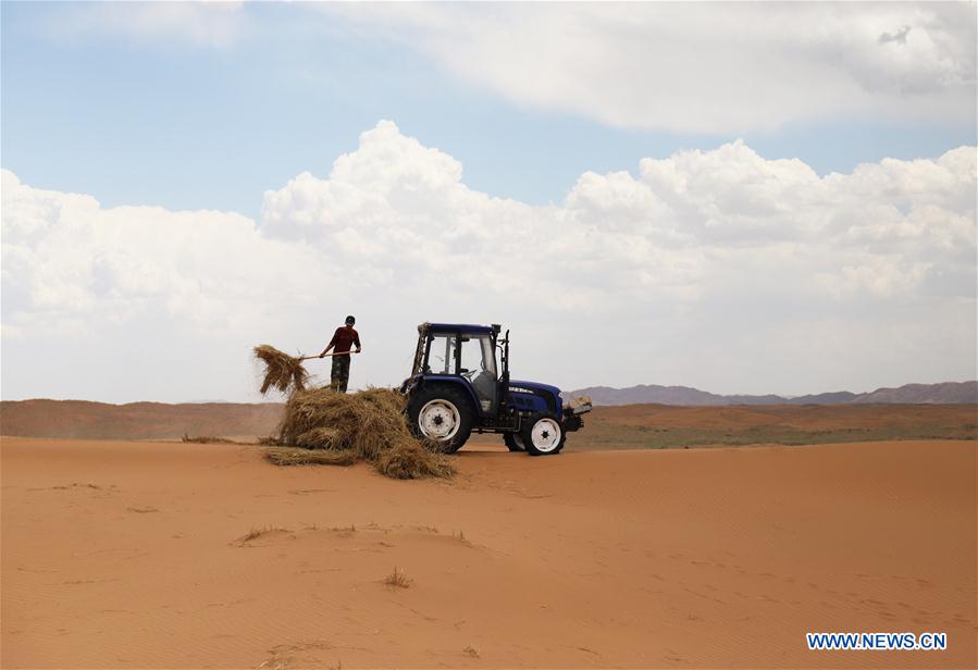 CHINA-NINGXIA-SHAPOTOU-DESERT CONTROL(CN)