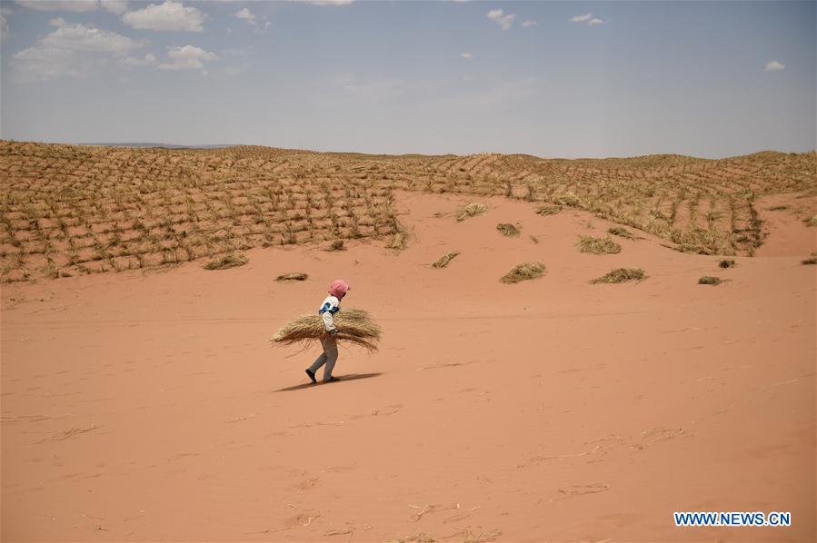 CHINA-NINGXIA-SHAPOTOU-DESERT CONTROL(CN)
