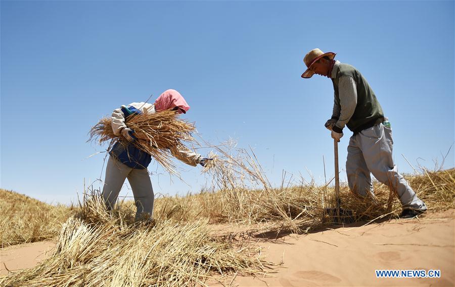 CHINA-NINGXIA-SHAPOTOU-DESERT CONTROL(CN)