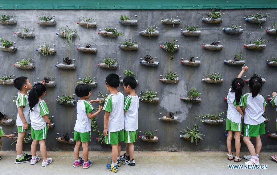 CHINA-ZHEJIANG-GARBAGE CLASSIFICATION-PROMOTION (CN)