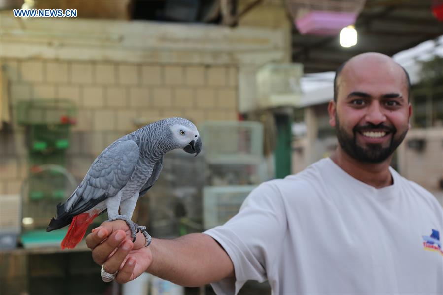 KUWAIT-AL FARWANIYAH-PET MARKET