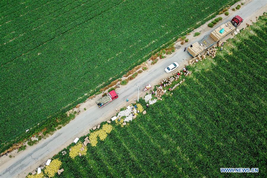 #CHINA-XINJIANG-AGRICULTURE-HAMI MELON-MARKET (CN)