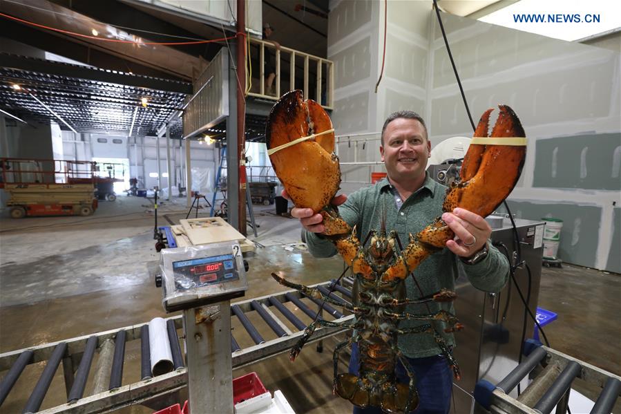 Xinhua Headlines: Tariff conflict with China raises alarm in lobster industry in U.S. state