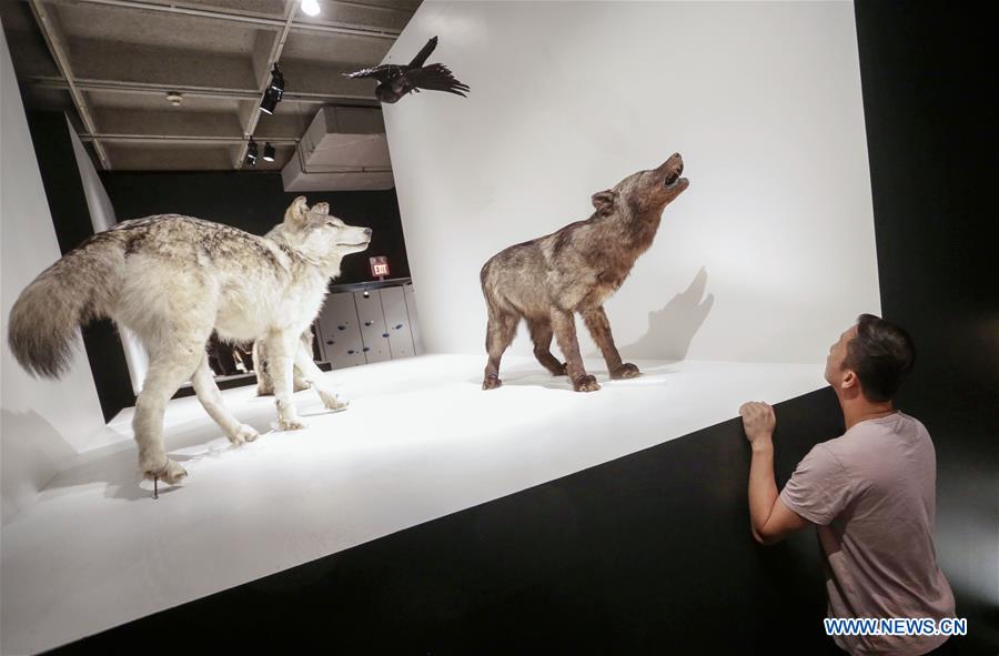 CANADA-VANCOUVER-EXHIBITION-"WILD THINGS"