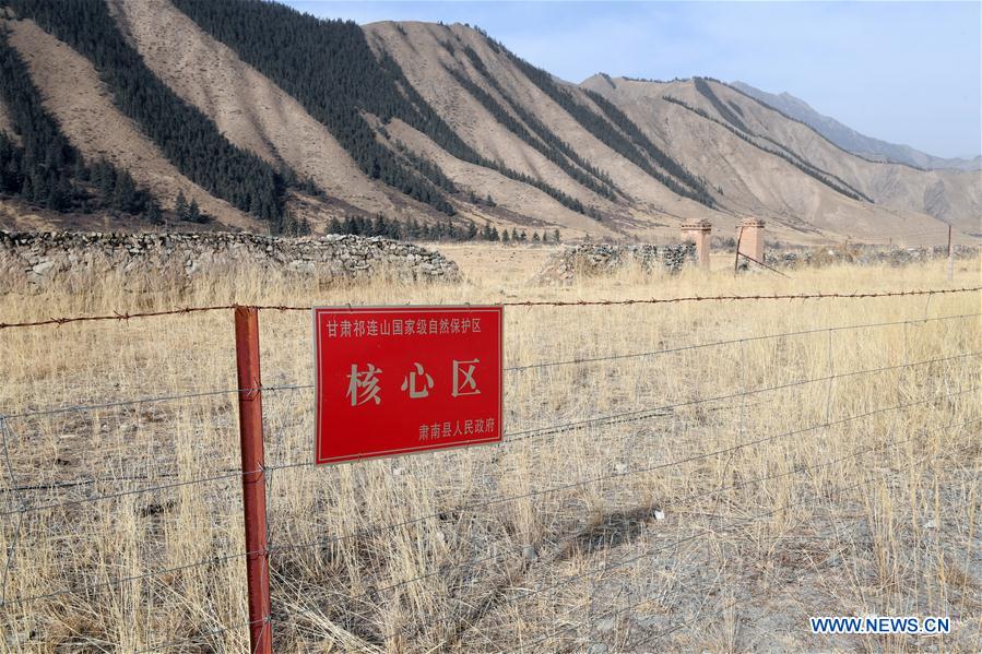 CHINA-GANSU-QILIAN MOUNTAINS-ENVIRONMENTAL RESTORATION (CN)