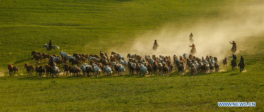 CHINA-INNER MONGOLIA-GRASSLAND-HORSES (CN)