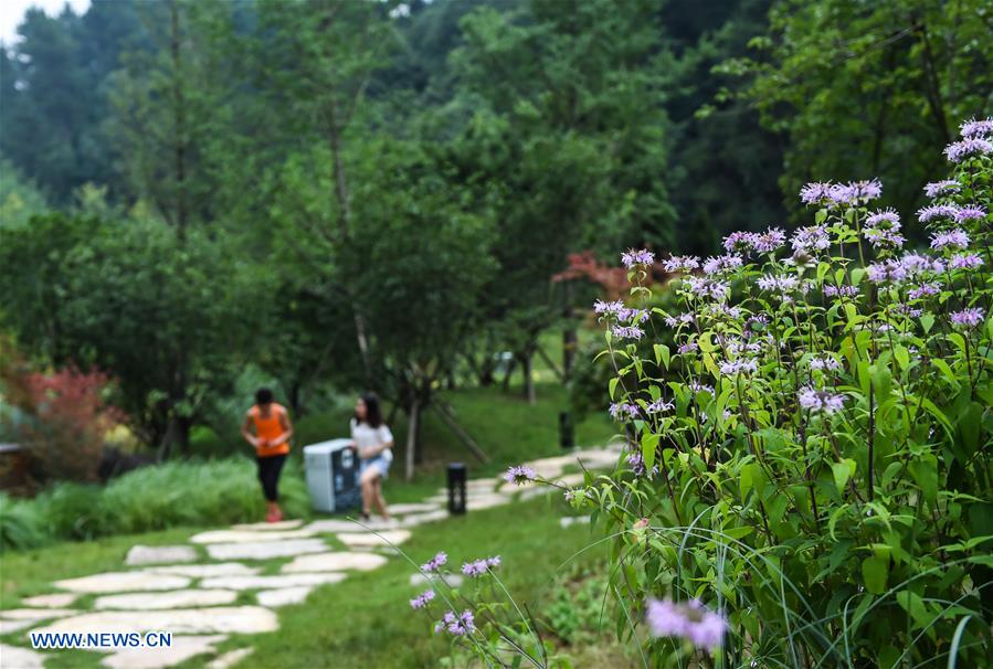 CHINA-GUIYANG-PARK (CN)