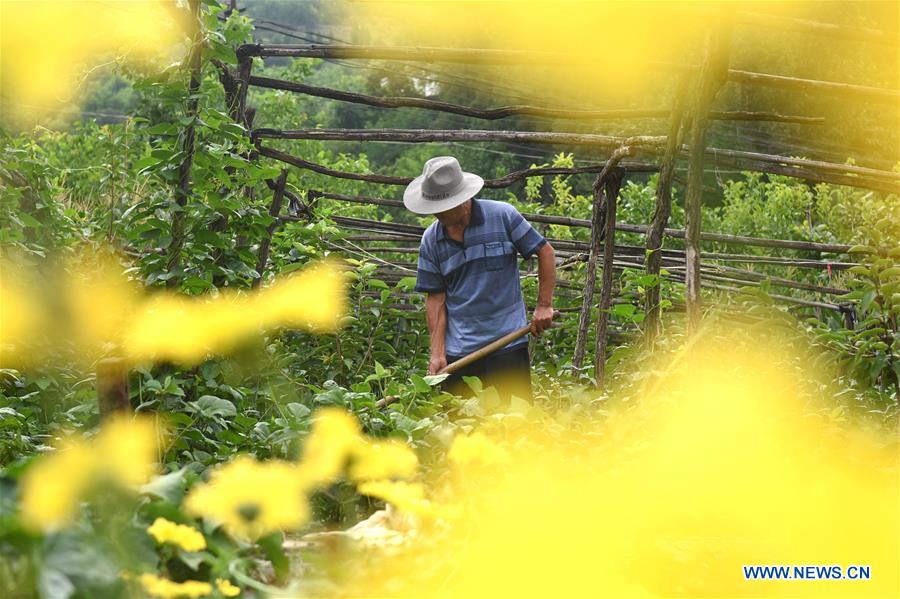 #CHINA-LESSER HEAT-FARMING (CN)