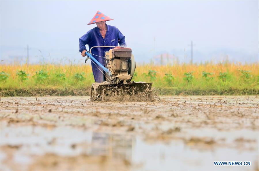 #CHINA-LESSER HEAT-FARMING (CN)