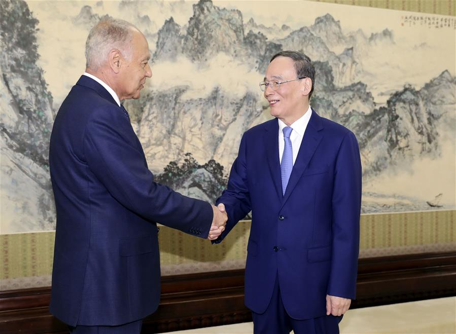 CHINA-BEIJING-WANG QISHAN-ARAB LEAGUE-SECRETARY GENERAL-MEETING (CN)