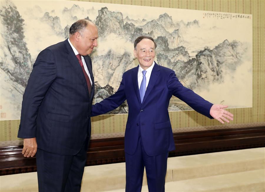 CHINA-BEIJING-WANG QISHAN-EGYPT-FM-MEETING (CN)