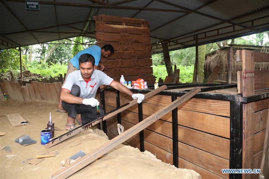 NEPAL-CHITWAN-BABY RHINO-CHINA-GIFT