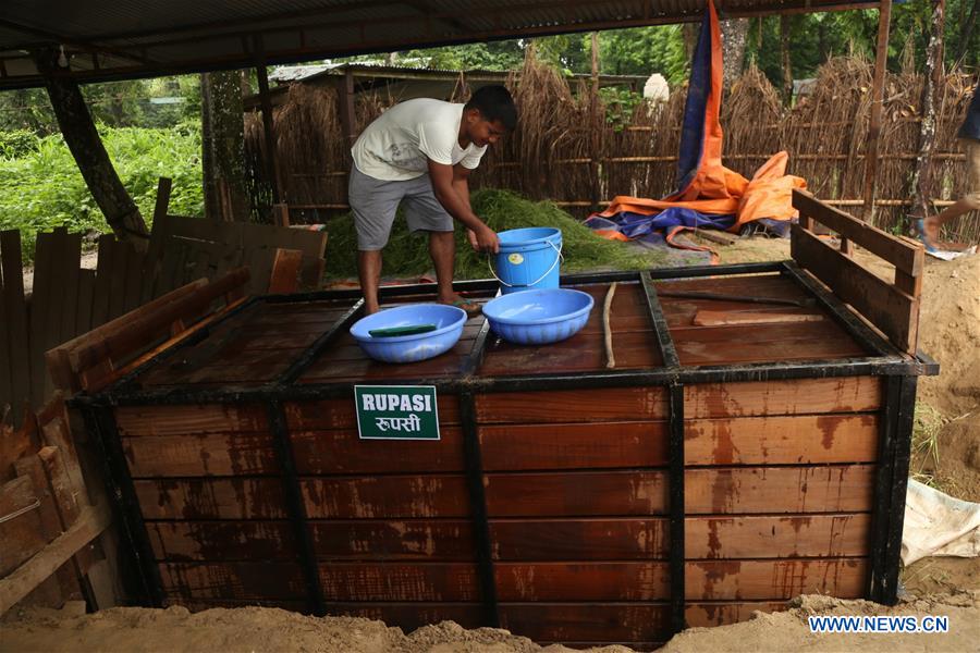 NEPAL-CHITWAN-RHINOCEROS-CHINA