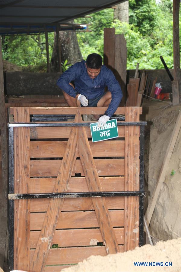 NEPAL-CHITWAN-RHINOCEROS-CHINA