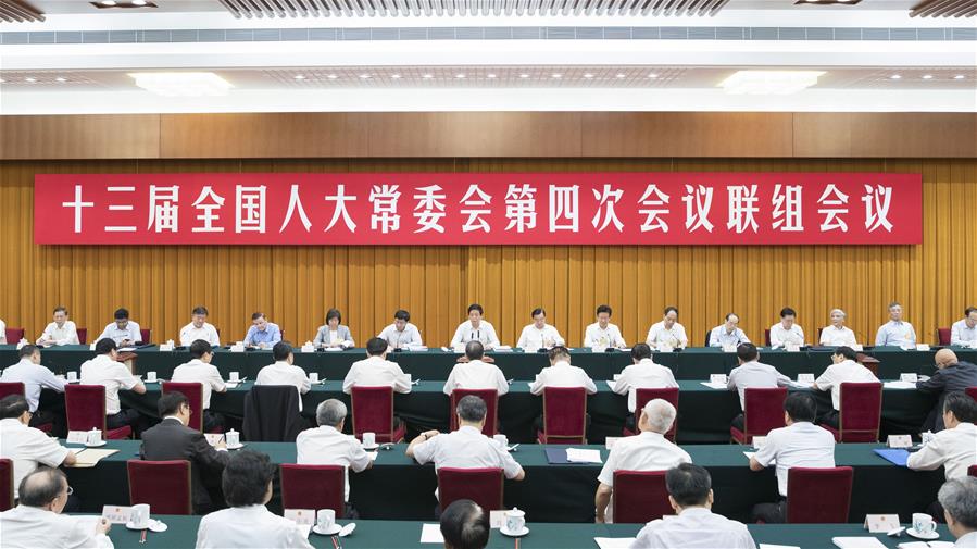 CHINA-BEIJING-NPC STANDING COMMITTEE-JOINT INQUIRY (CN)