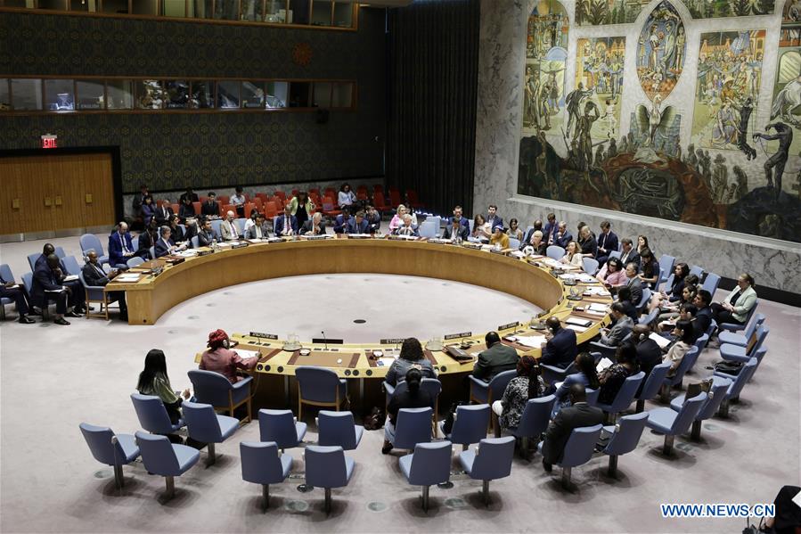 UN-SECURITY COUNCIL-AFRICA-MEETING