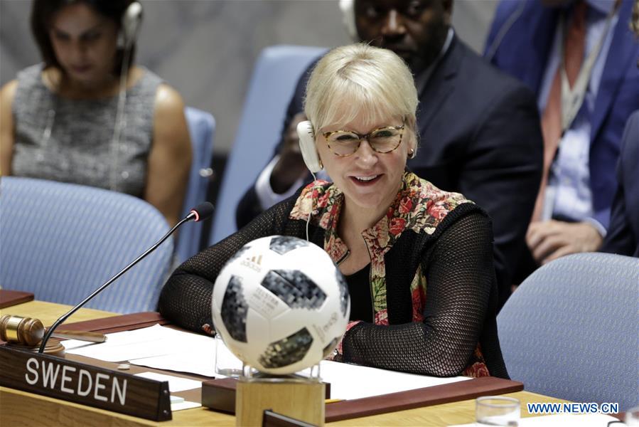 UN-SECURITY COUNCIL-AFRICA-MEETING