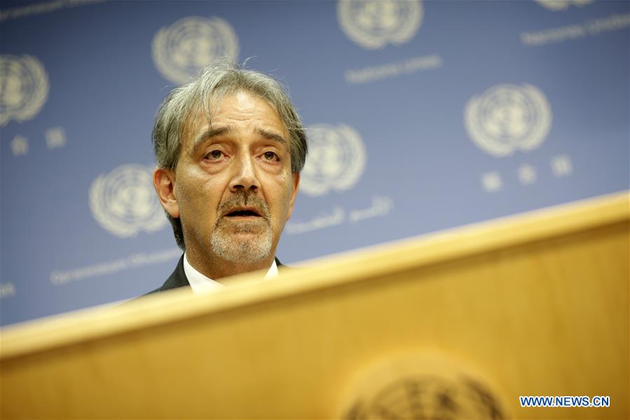 UN-IFRC-FRANCESCO ROCCA-PRESS BRIEFING