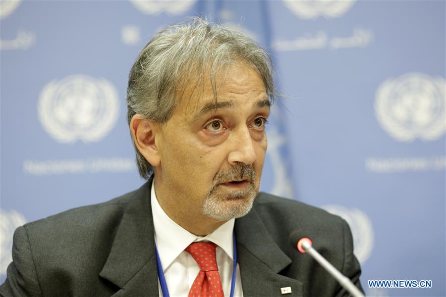 UN-IFRC-FRANCESCO ROCCA-PRESS BRIEFING