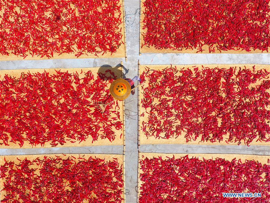 #CHINA-HUNAN-SHUANGFENG-CHILI SAUCE (CN)