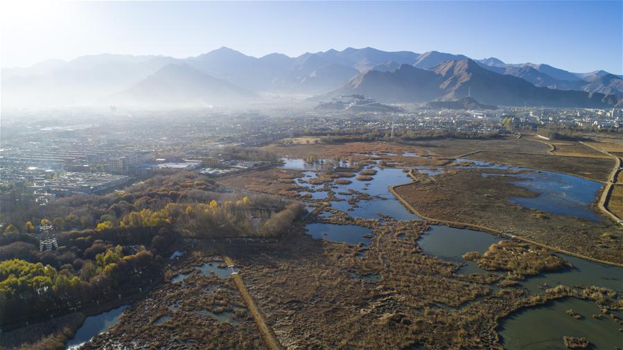 Xinhua Headlines: Qinghai-Tibet Plateau still one of cleanest regions on earth