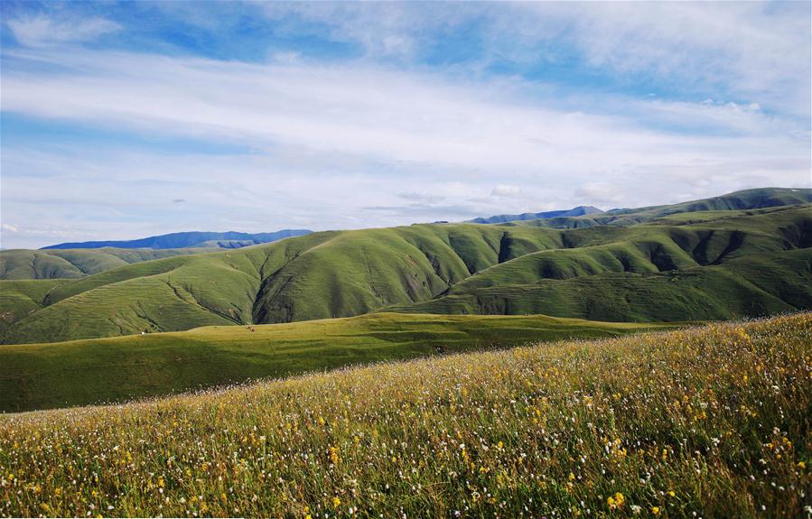 Xinhua Headlines: Qinghai-Tibet Plateau still one of cleanest regions on earth