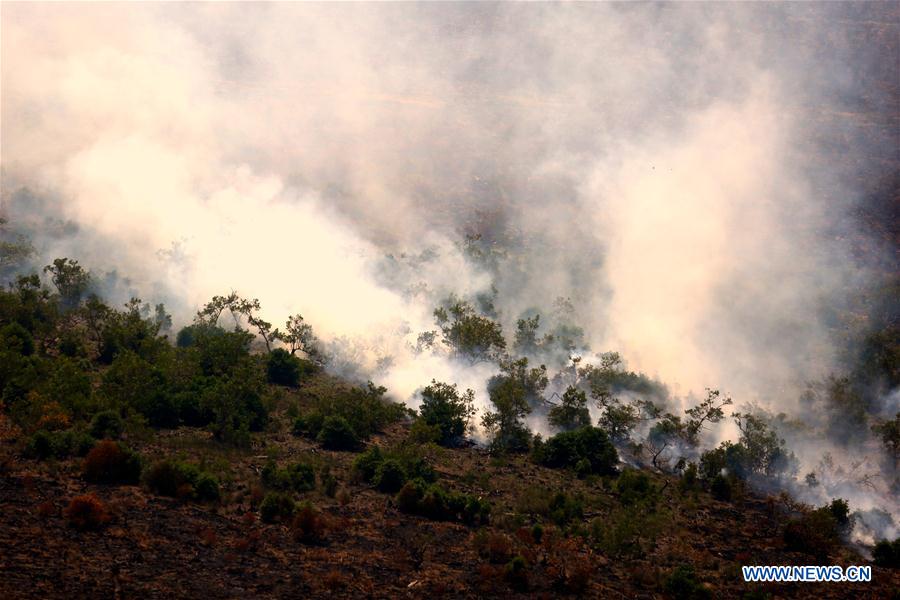 INDONESIA-SOUTH SUMATRA-FOREST FIRE