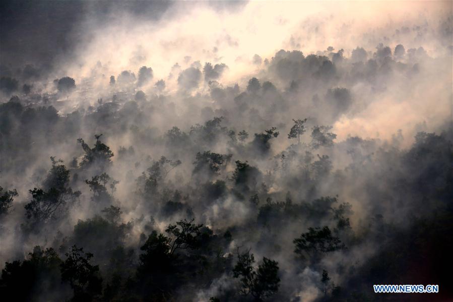 INDONESIA-SOUTH SUMATRA-FOREST FIRE