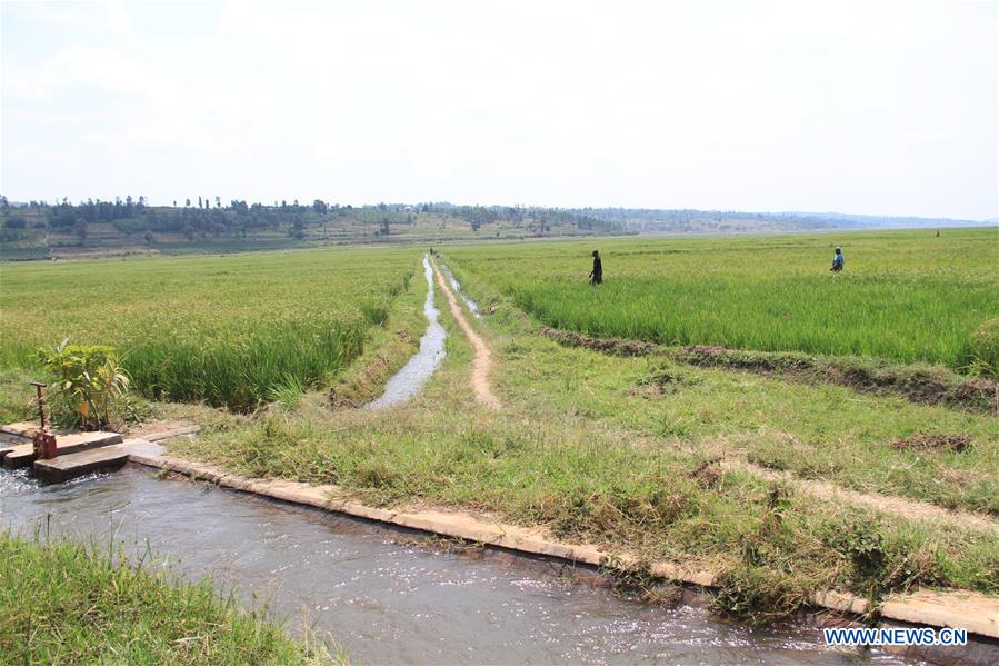 RWANDA-EASTERN PROVINCE-CHINESE COMPANY-DAM