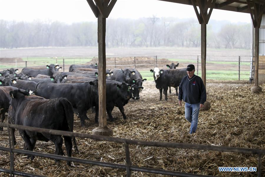 Xinhua Headlines: American farmers, businesses bruised in Trump's trade battle