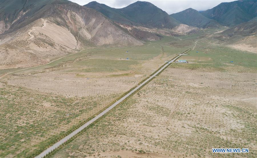 CHINA-TIBET-SHANNAN-DESERT CONTROL (CN)
