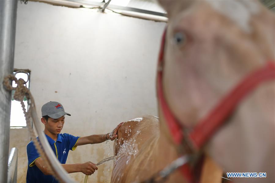 CHINA-JIANGXI-EQUESTRIANISM-RIDING SCHOOL-TEENAGER (CN)