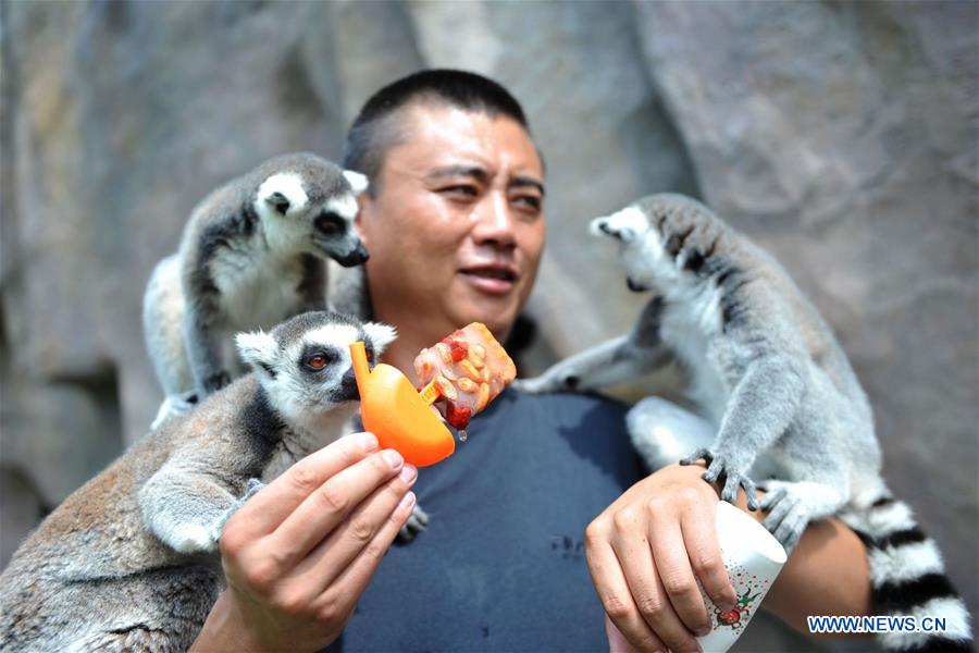 #CHINA-ZOO-ANIMALS-COOL OFF (CN)