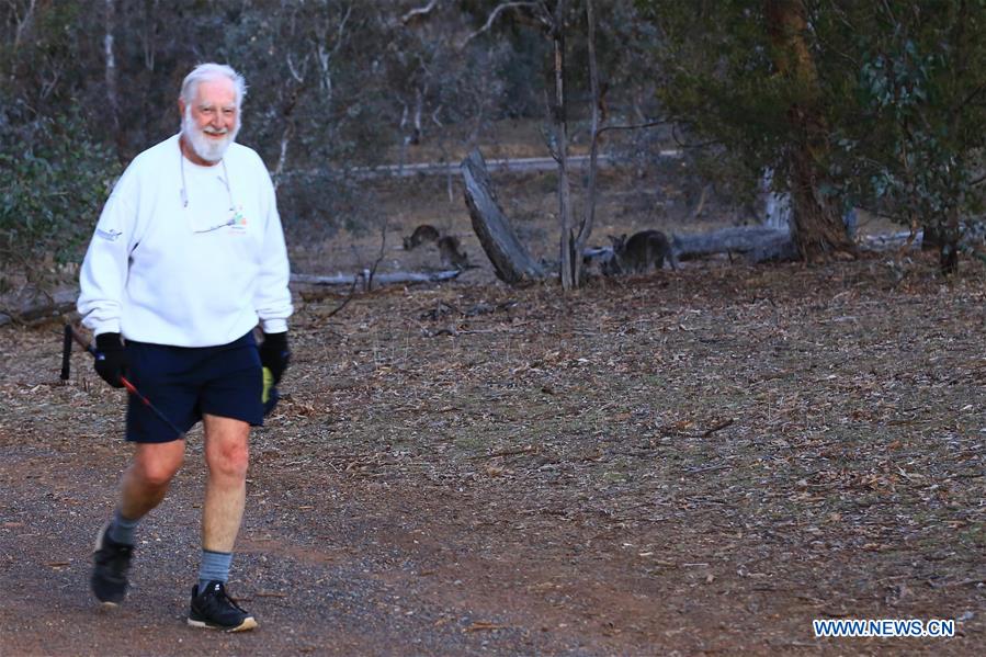 AUSTRALIA-CANBERRA-KANGAROO