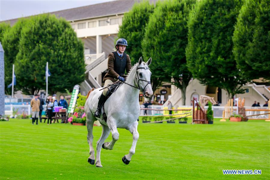 (SP)IRELAND-DUBLIN-2018 DUBLIN HORSE SHOW
