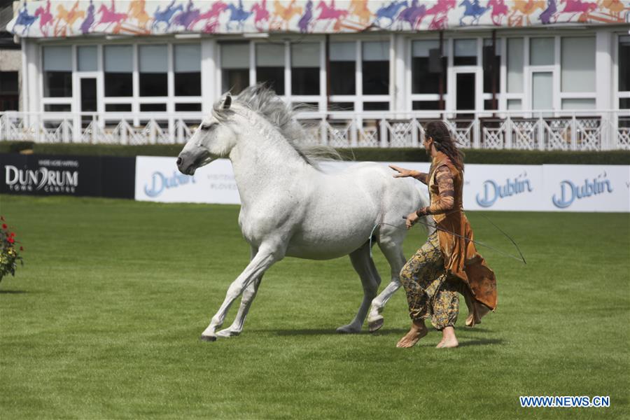 (SP)IRELAND-DUBLIN-2018 DUBLIN HORSE SHOW