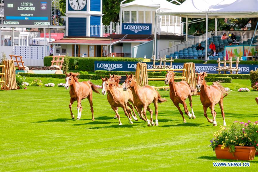 (SP)IRELAND-DUBLIN-2018 DUBLIN HORSE SHOW