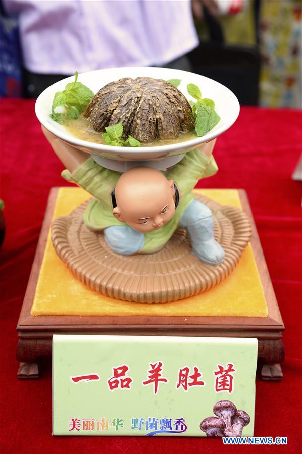 #CHINA-YUNNAN-WILD FUNGUS FOOD CULTURE FESTIVAL (CN*)
