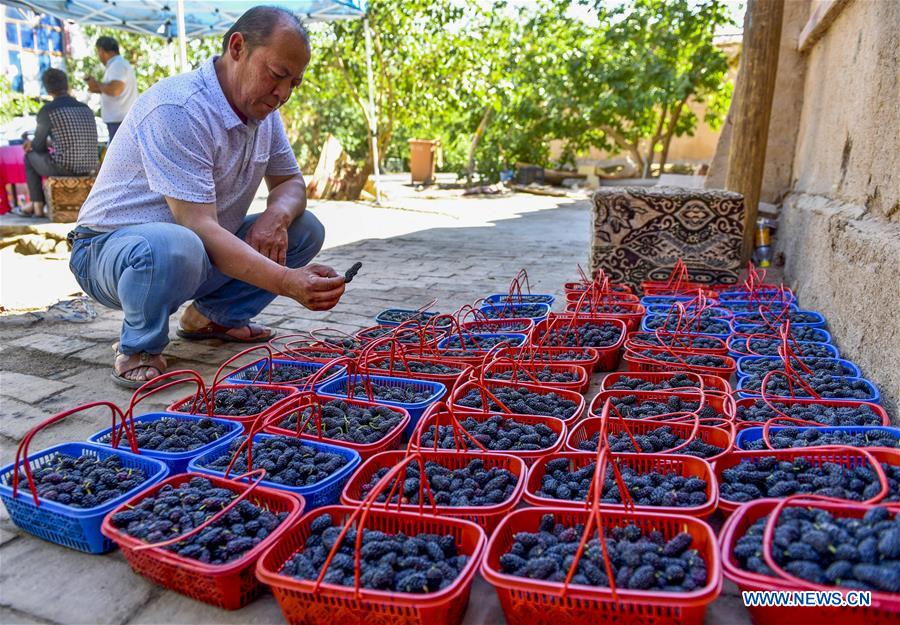 Xinjiang city famous for bounty of fruits Xinhua English.news.cn