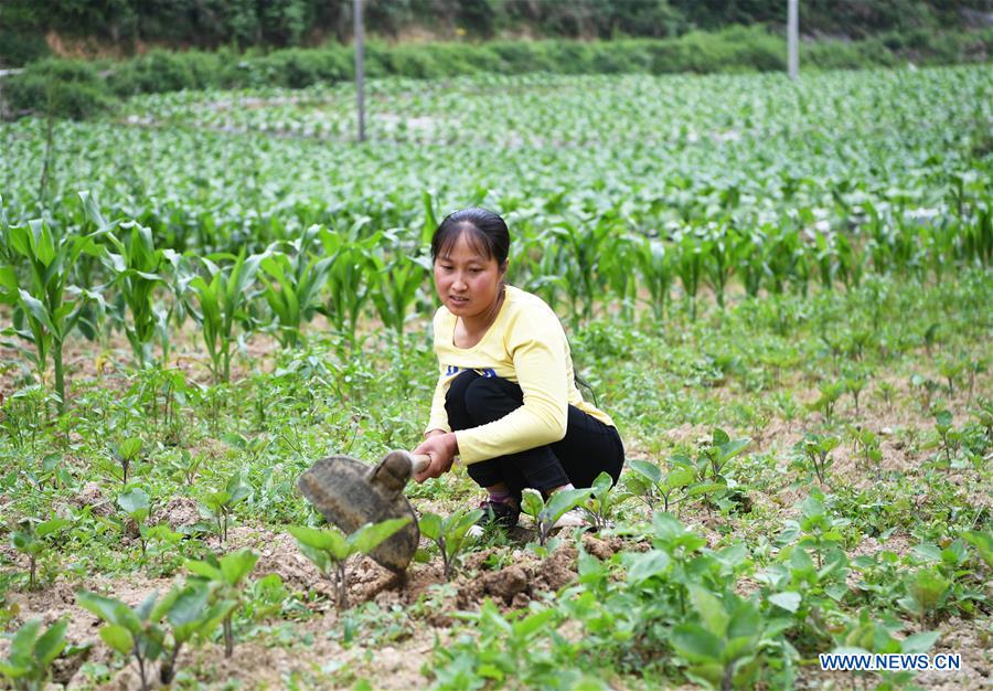 CHINA-CHONGQING-DISABLED FEMALE FARMER (CN)