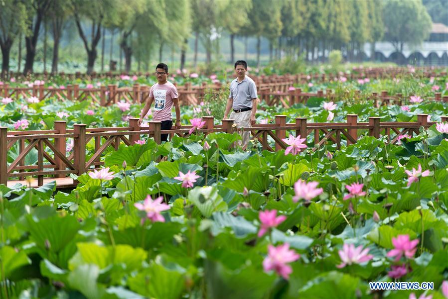 CHINA-HUBEI-HONGHU LAKE-PROTECTION (CN)