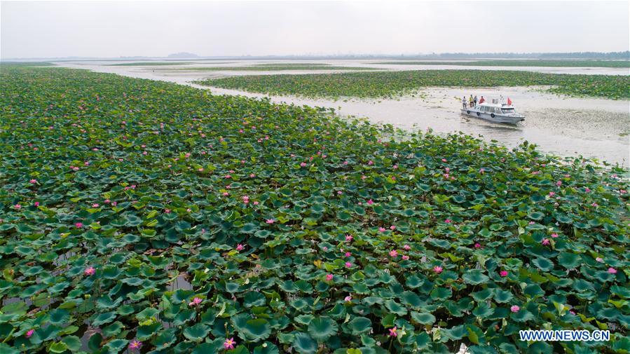 CHINA-HUBEI-HONGHU LAKE-PROTECTION (CN)