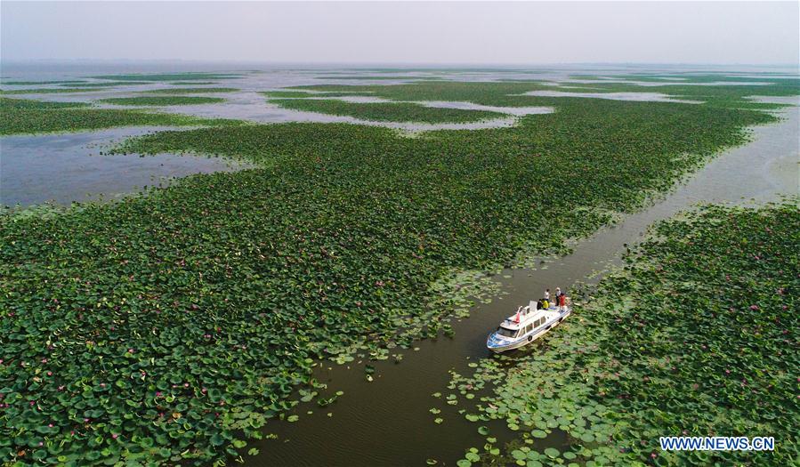 CHINA-HUBEI-HONGHU LAKE-PROTECTION (CN)