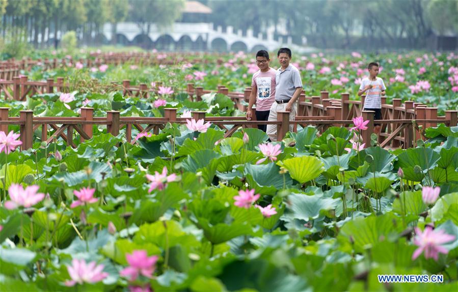 CHINA-HUBEI-HONGHU LAKE-PROTECTION (CN)