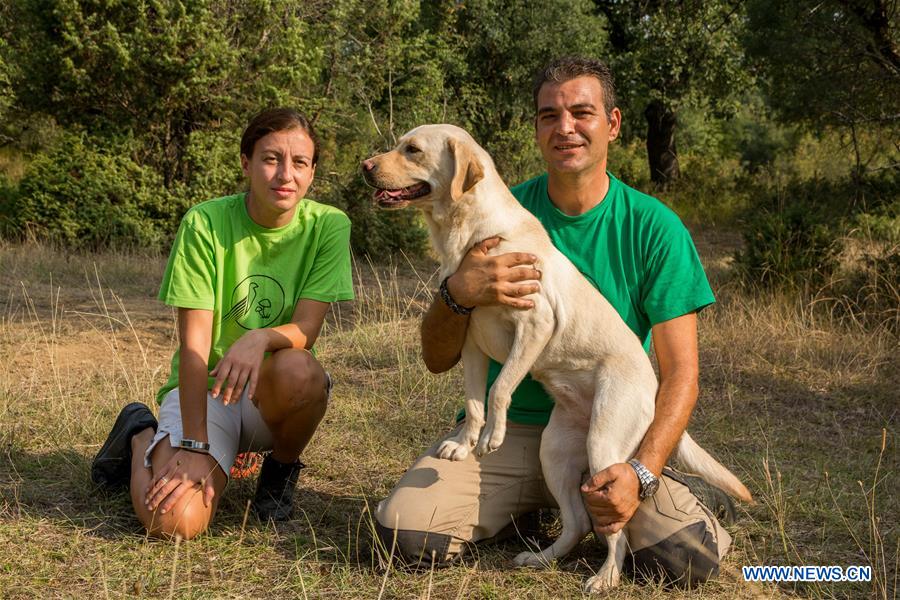 GREECE-TRIKALA-TRUFFLE HUNTING
