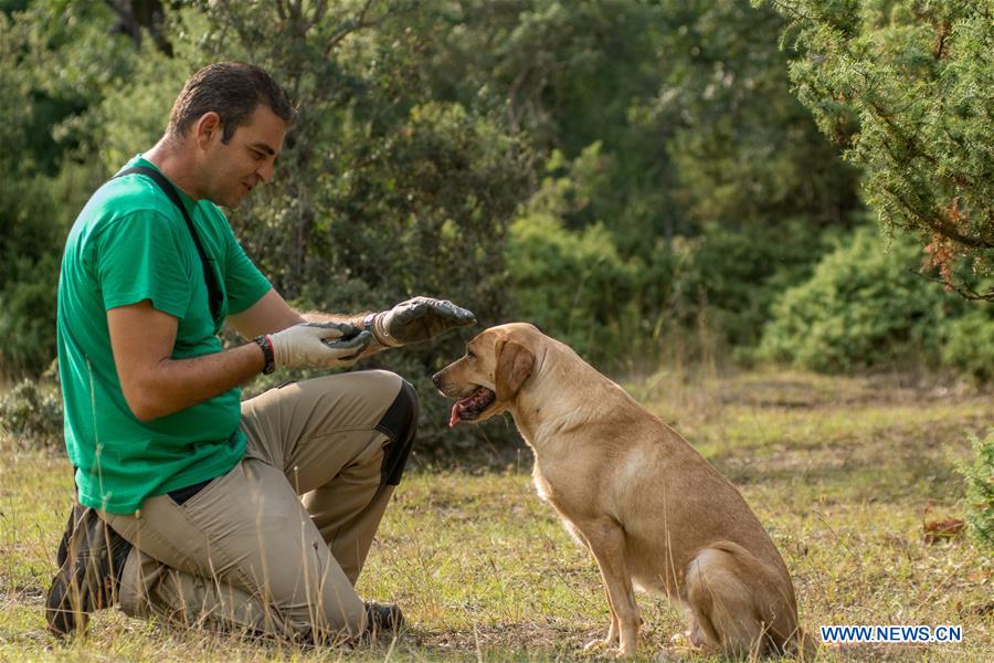 GREECE-TRIKALA-TRUFFLE HUNTING