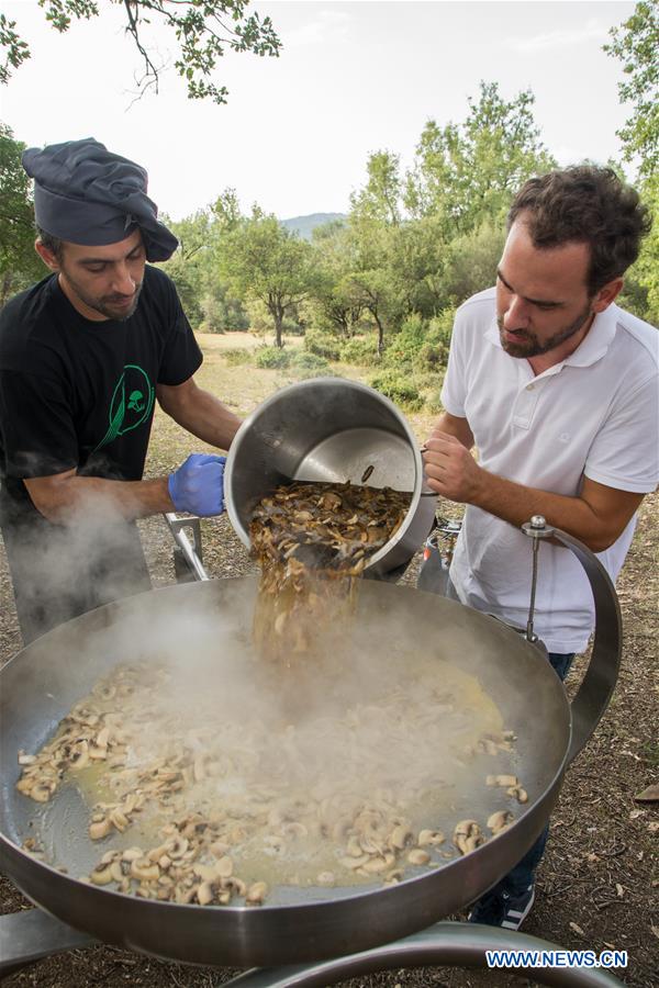 Tourists attracted by Trufflehunting tour in Thessaly, Greece Xinhua English.news.cn