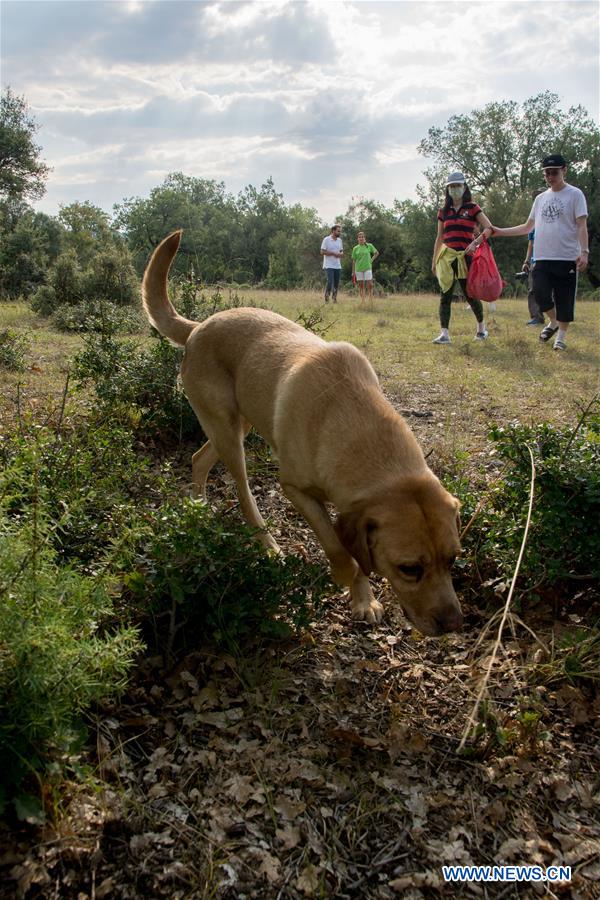 GREECE-TRIKALA-TRUFFLE HUNTING