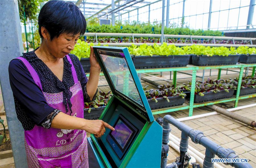 CHINA-HEBEI-RAOYANG-AGRICULTURE-MODERN TECHNOLOGY (CN)