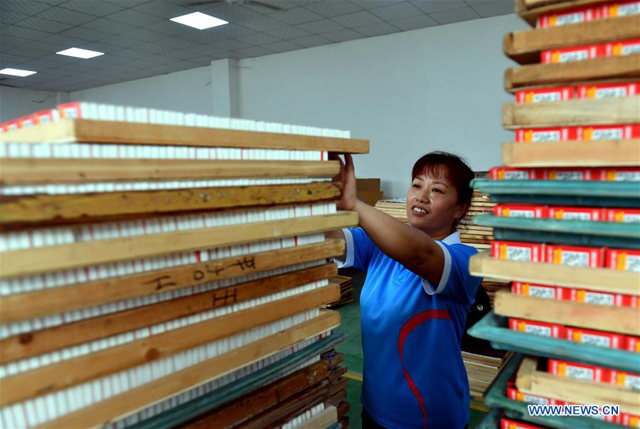 CHINA-HENAN-ANYANG-MATCH PRODUCTION (CN)